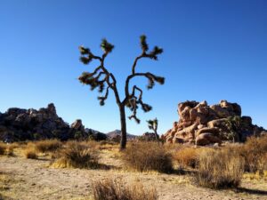 Read more about the article Best Hiking Trails in Southern California