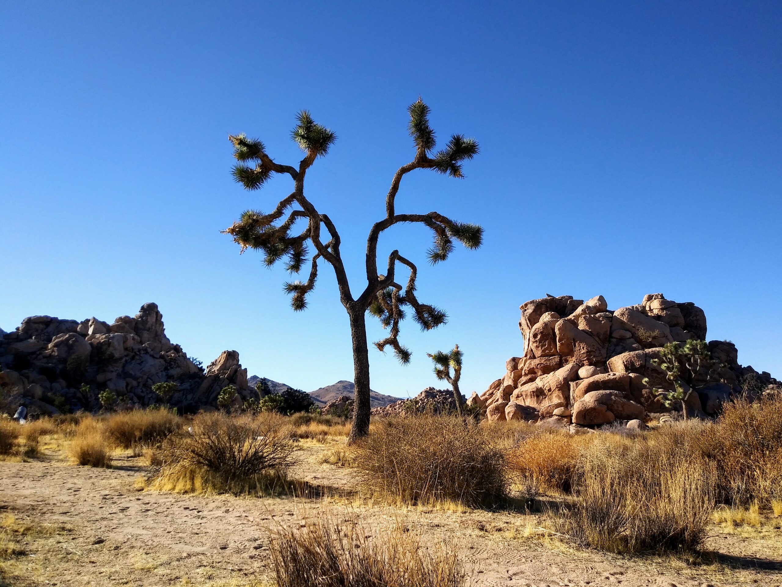 You are currently viewing Best Hiking Trails in Southern California