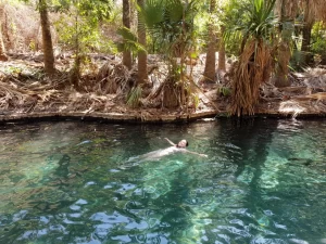 Read more about the article Australian Northern Territory: A Journey from Alice Springs to Darwin