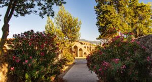 Read more about the article Cultural Places Near Pompeii to Explore, Italy