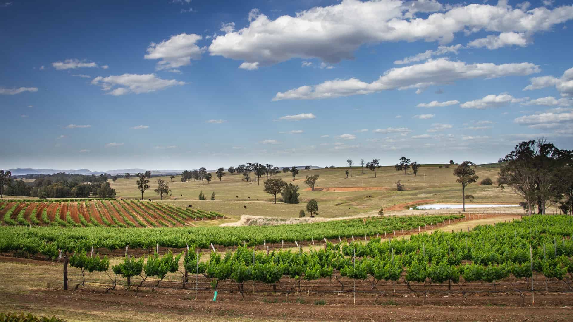 You are currently viewing Down Under and Uncorked: Exploring Australia’s Wine and Travel Treasures