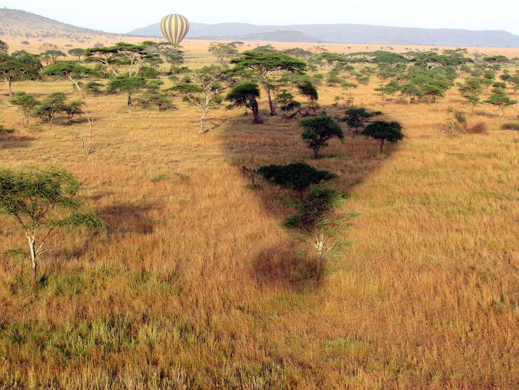 You are currently viewing Serengeti Balloon Safari in Tanzania