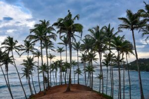 Read more about the article Tips for Solo Female Travel in Sri Lanka