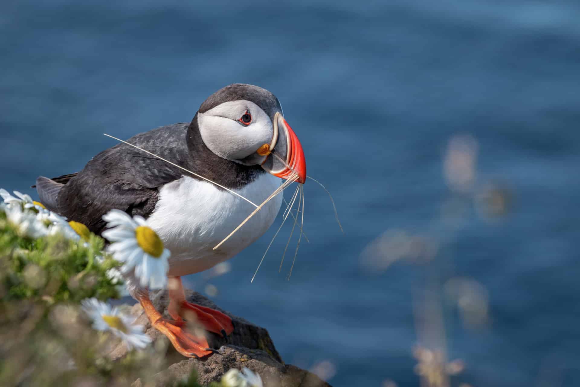 You are currently viewing Discover a Little Bit of Everything on a British Isles Cruise