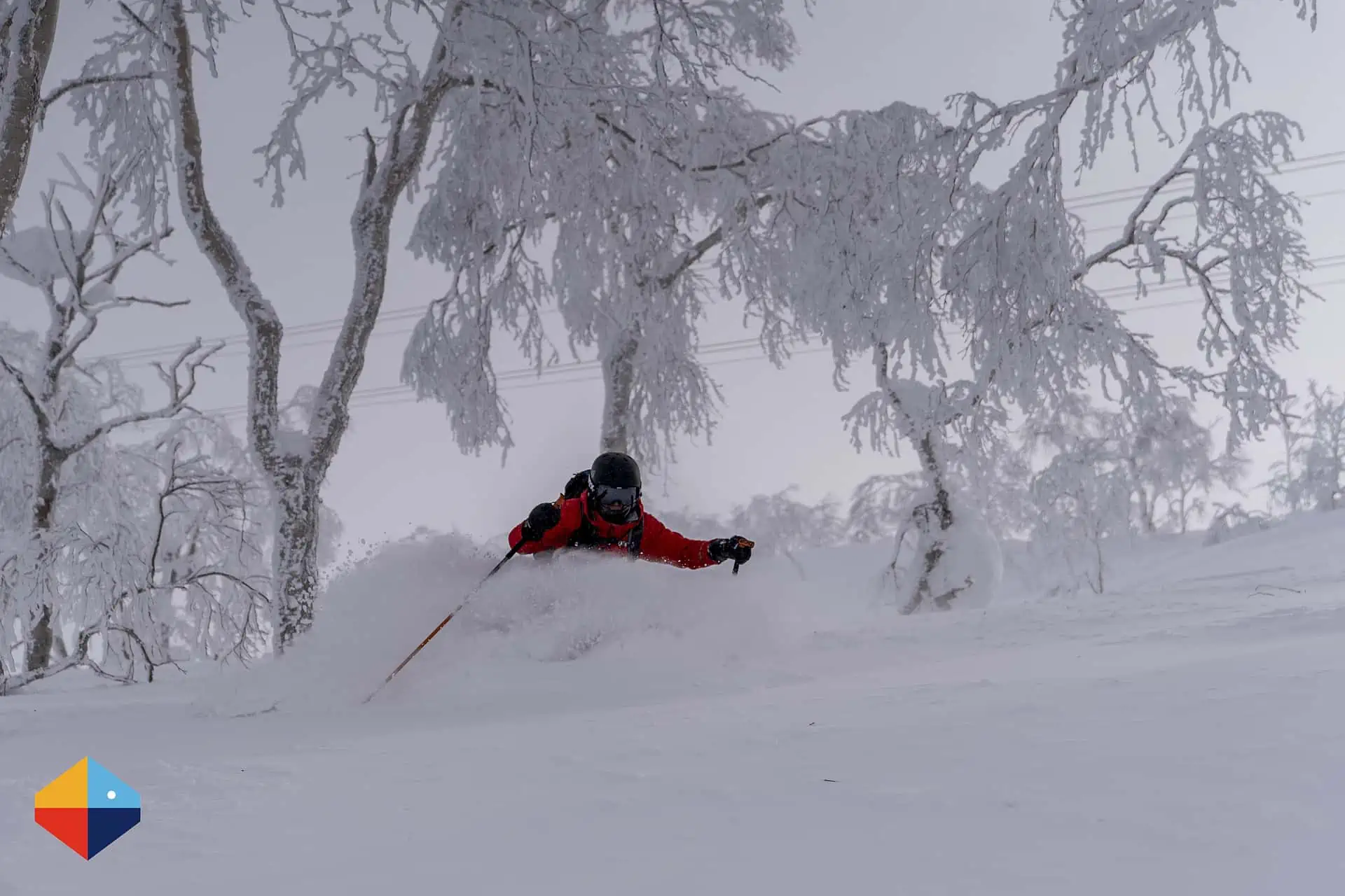 Read more about the article Beginners Allowed: A JAPOW Paradise for Skiers of all Levels