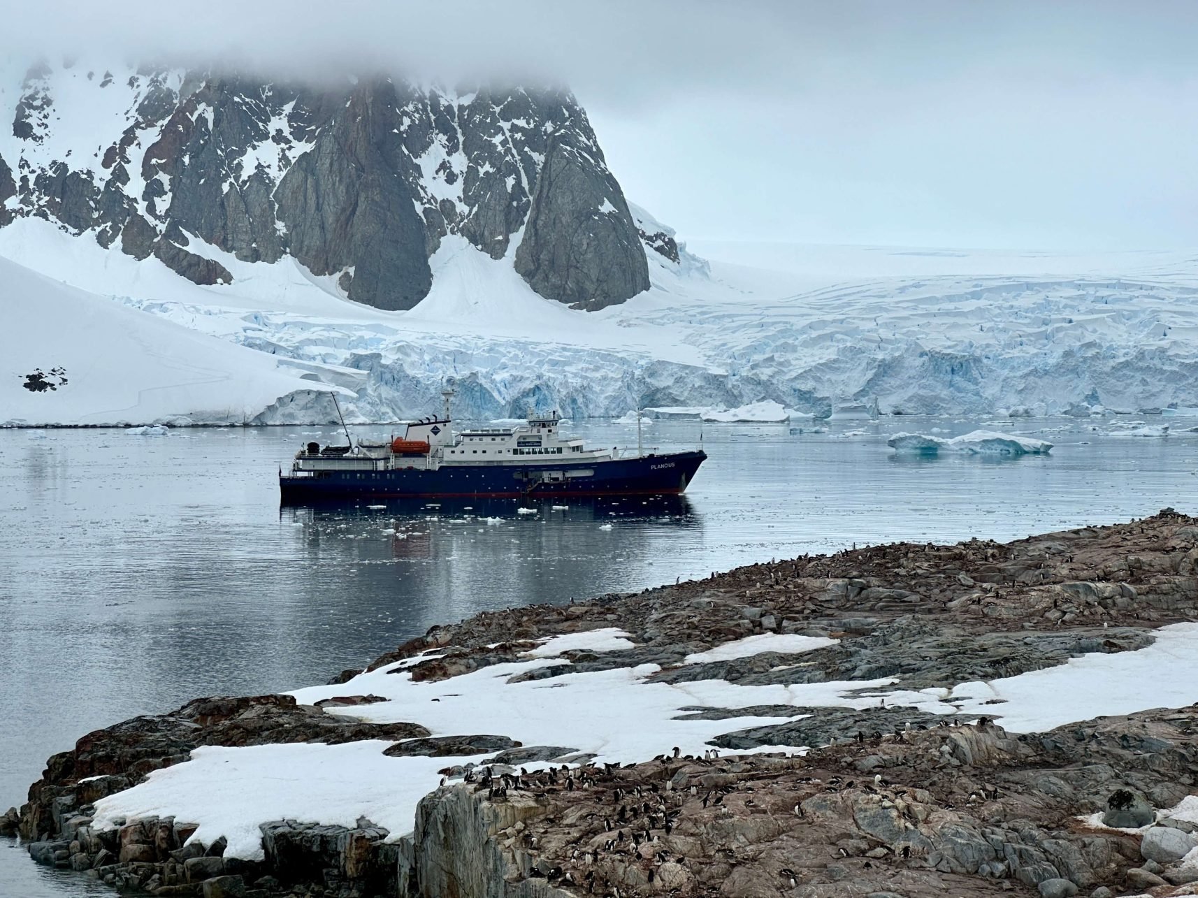 You are currently viewing How to Plan a Trip to Antarctica