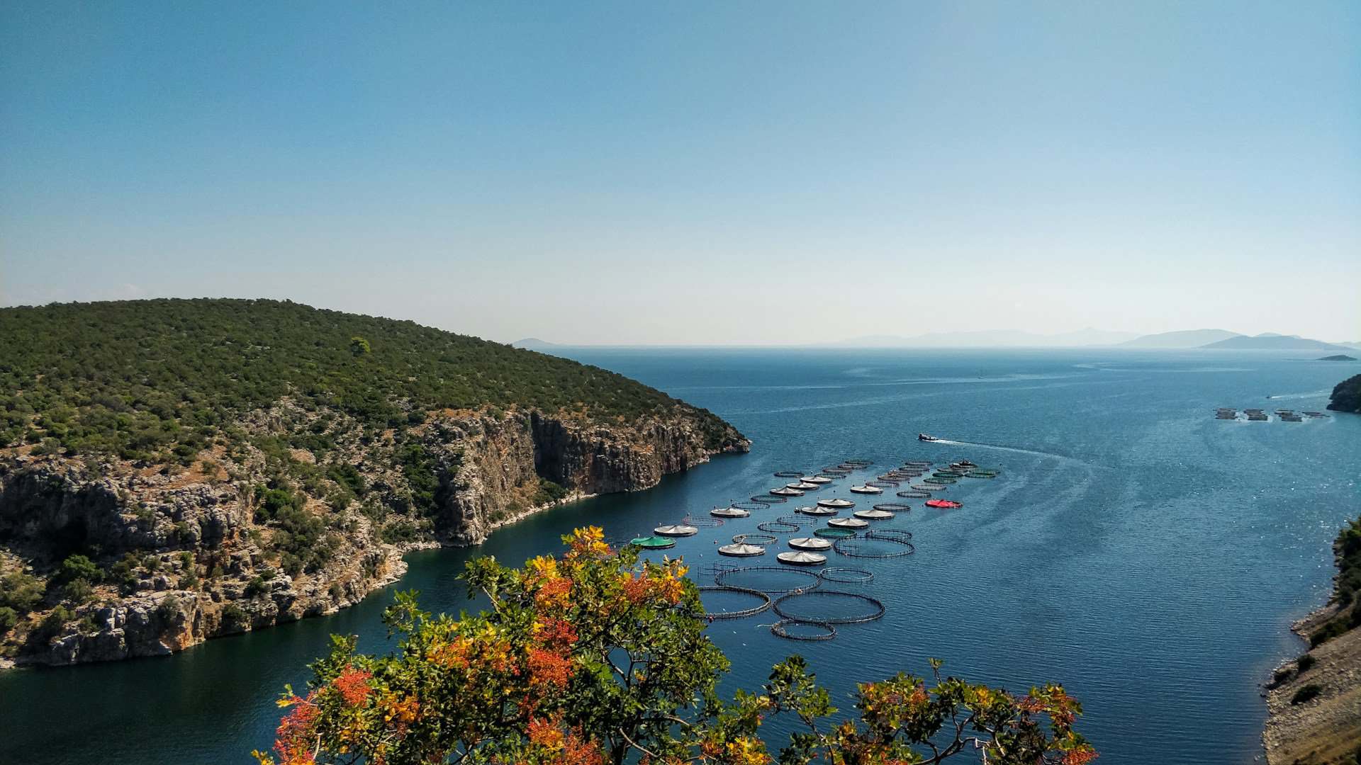 You are currently viewing Sailing the Saronic Gulf: A Beginner’s Guide to a 7-Day Itinerary