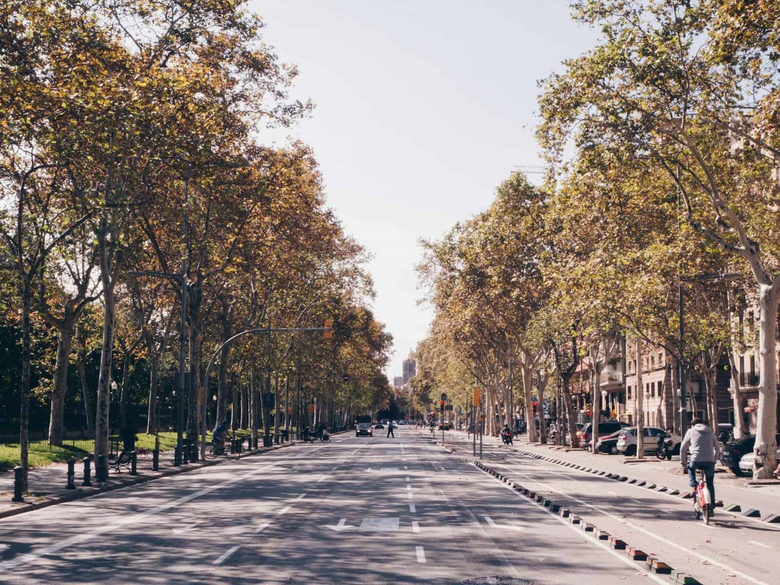 You are currently viewing Autumn Dishes in Barcelona: 7 Must-Try Local Favorites