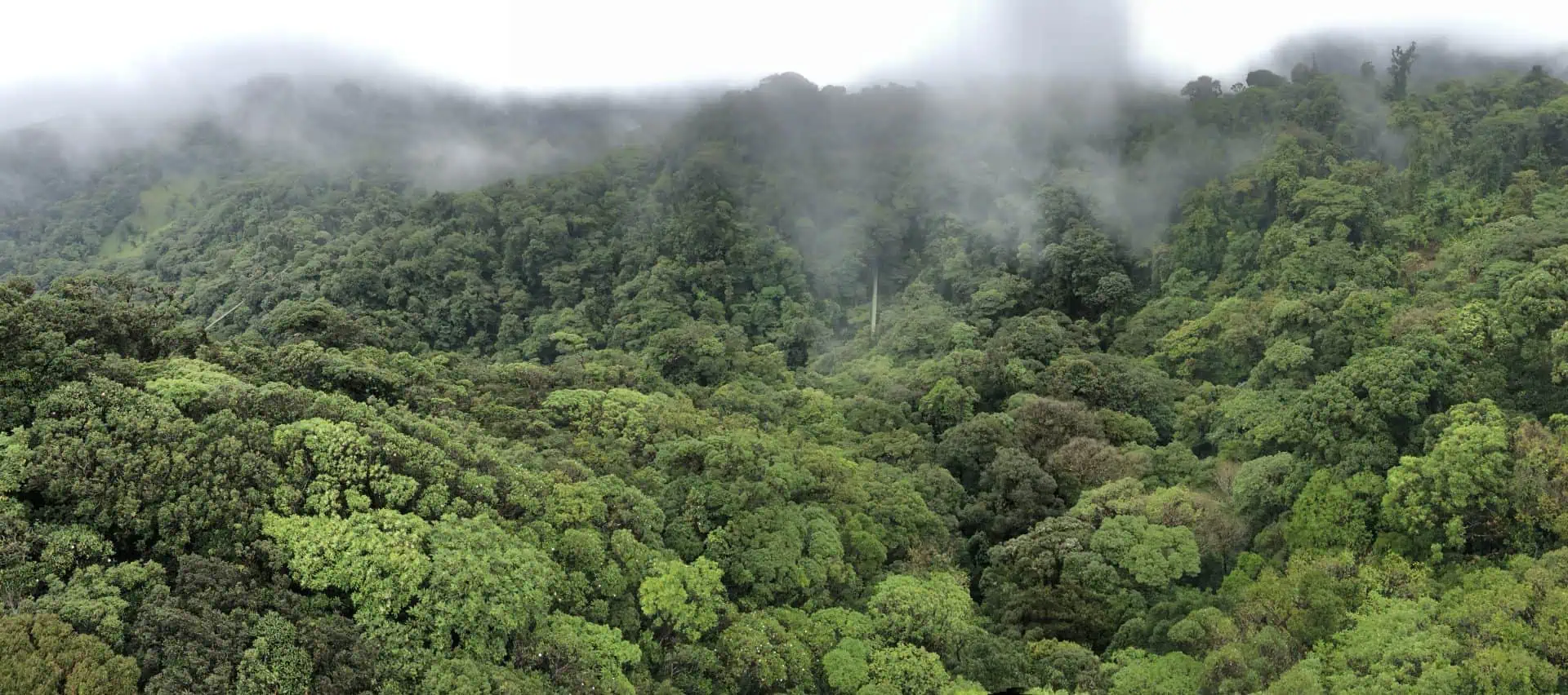 Read more about the article Top Costa Rica Travel Mistakes for First-Time Visitors (& How to Avoid Them)