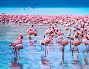 Read more about the article How to Plan the Perfect Day Trip to Lake Nakuru