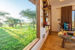 Read more about the article Serval Wildlife: The most exceptional safari park adventure – get closer than you ever imagined