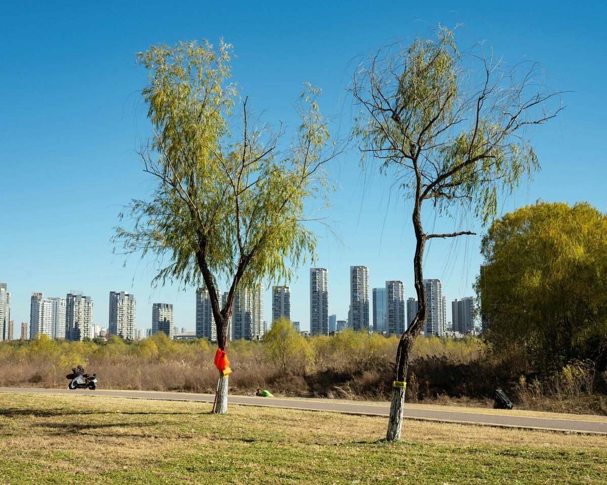 You are currently viewing Micro-Adventures for Better Focus: Easy Ways to Fight Off a Heavy Semester