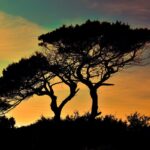 Camping in Cyprus by Campervan: Rules, Campsites, and Life on the Road