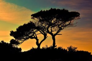 Read more about the article Camping in Cyprus by Campervan: Rules, Campsites, and Life on the Road