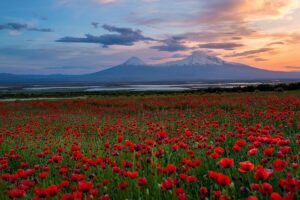 Read more about the article Seven Days in Armenia, Where the Past Is Still in Everyday Use