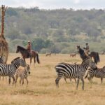 Kenya Grew Up While I Was Away